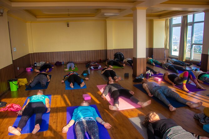 29-Day Rejuvenating and Life Changing Yoga class in Nepal - Asana training from beginner basics to advanced control