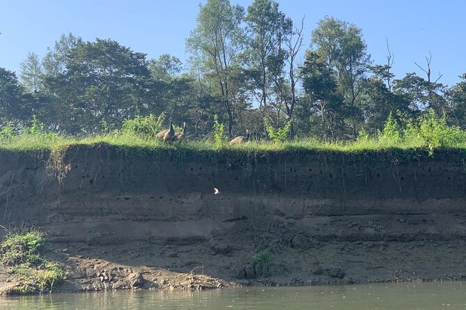 3-Day All Inclusive Chitwan Jungle Safari Tour From Kathmandu - Accommodation and comfort: what to confirm before you land