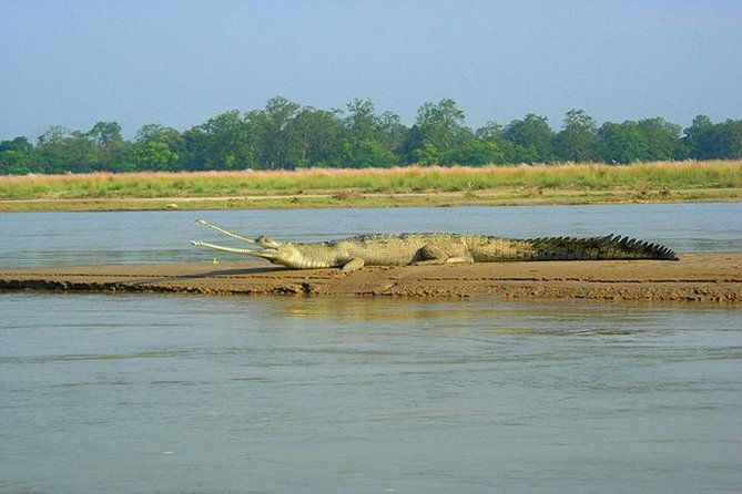 3-Day Chitwan Jungle Safari Tour from Kathmandu - Kathmandu to Chitwan: what the first long travel day really feels like