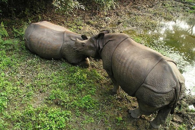 3-Day Chitwan Jungle Safari Tour from Kathmandu - Dress for wildlife: neutral colors are not a fashion choice