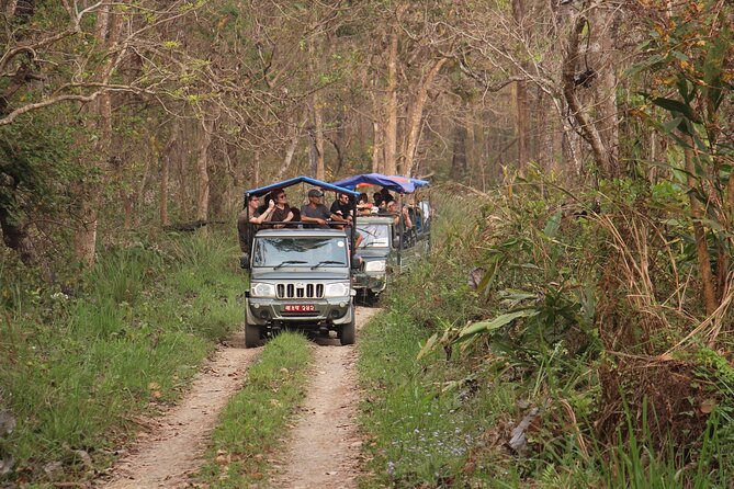 3-Day Chitwan National Park Jungle Safari Tour Package with Pick Up - Rapti River canoe ride: crocodiles and birding timing