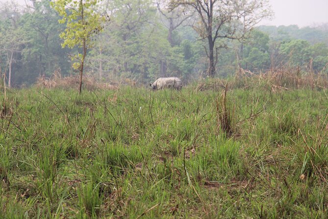 3-Day Chitwan National Park Jungle Safari Tour Package with Pick Up - Meals and national park costs: why this package can be a bargain