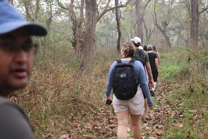 3-Day Chitwan National Park Jungle Safari Tour Package with Pick Up - Safari planning on the ground: how the guided format helps