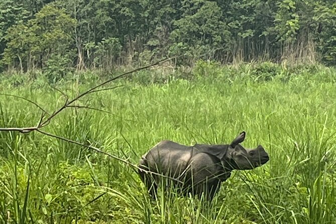 3-Day Guided Safari Tour in Chitwan National Park in Nepal - Why Chitwan in 3 days makes practical sense