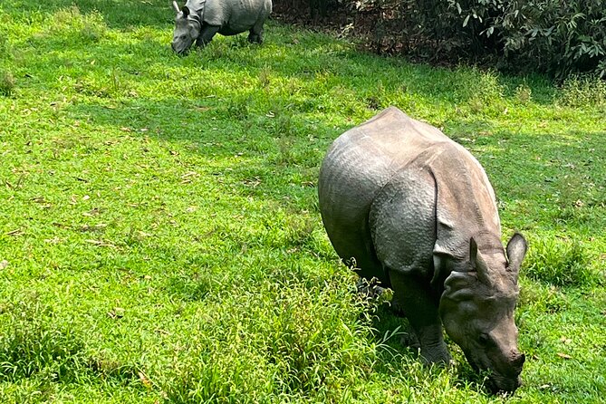 3-Day Guided Safari Tour in Chitwan National Park in Nepal - Day 1 Tharu Village + jeep safari energy + a cultural show