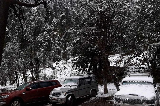 3 Days Kalinchowk Trekking from Kathmandu - Mountain Views You’ll Be Looking For (Langtang, Ganesh Himal, Gaurishanker)