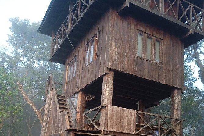 3 Nights 4 Days Chitwan National Park with Tower Night Stay - Key highlights I’d plan around