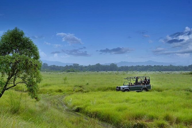 3 Nights 4 Days Chitwan National Park with Tower Night Stay - Chitwan in 4 days: how the days actually feel
