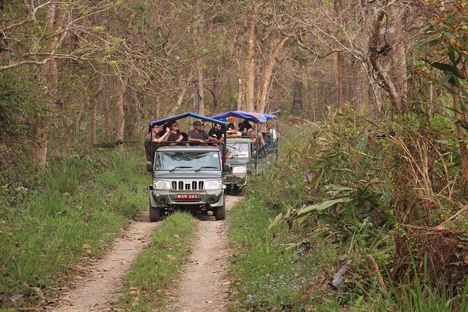 3 Nights 4 Days Chitwan National Park with Tower Night Stay - Day 3: tower breakfast, jungle walk back, and an optional 20,000 Lake bike add-on