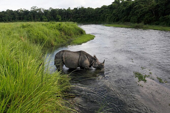3 Nights 4 Days Chitwan National Park with Tower Night Stay - Jeep safari and bird watching: getting the most from a limited time