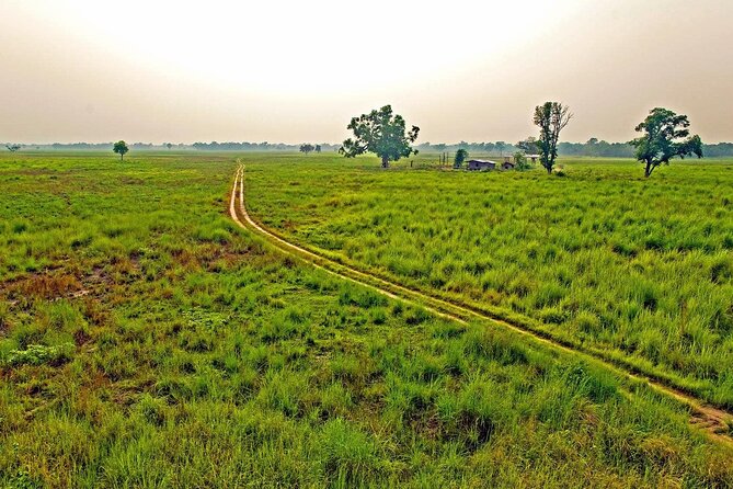 3 Nights 4 Days Chitwan National Park with Tower Night Stay - Day 1: AC Ride Into Chitwan, Tharu Dance, and Rapti River Sunset