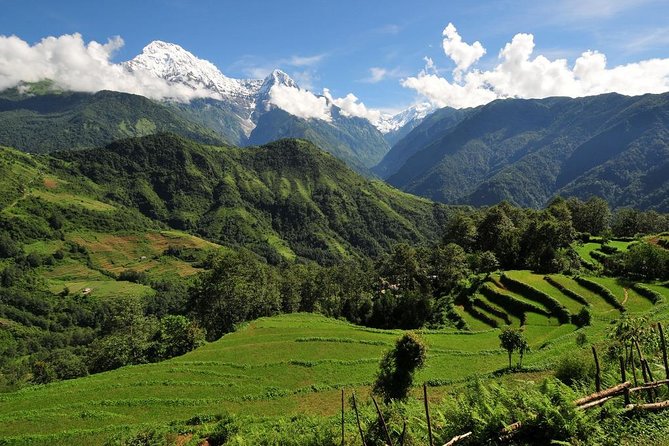 4-day Poon Hill Trek - Teahouses, Meals, and Porter Support: The Comfort Math