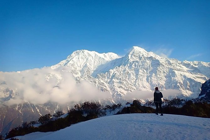 4 Days Mardi Himal Base Camp Trek - 4500 Meters - Altitude, Comfort, and the Pace Reality Check
