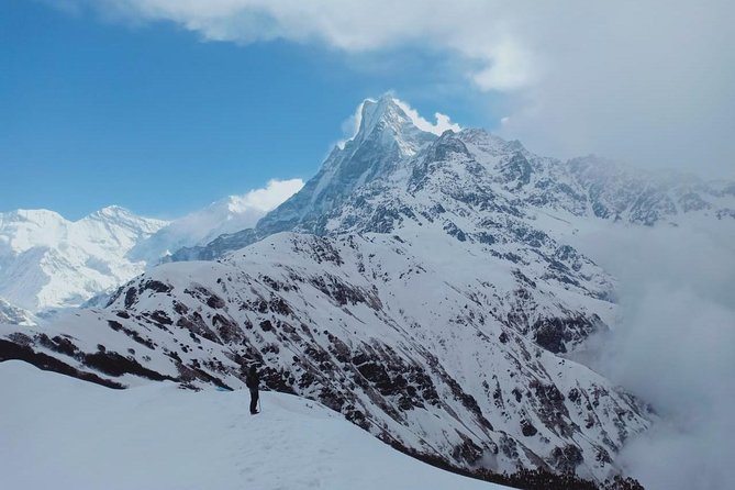 4 Days Mardi Himal Base Camp Trek - 4500 Meters - Price and Logistics: Is $260 Good Value?