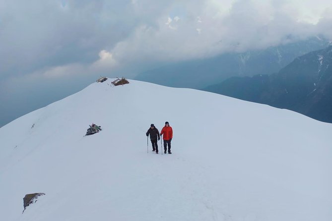 4 Days Mardi Himal Base Camp Trek - 4500 Meters - Day 2: High Camp at 3,550 m With Bamboo and Rhododendron Views