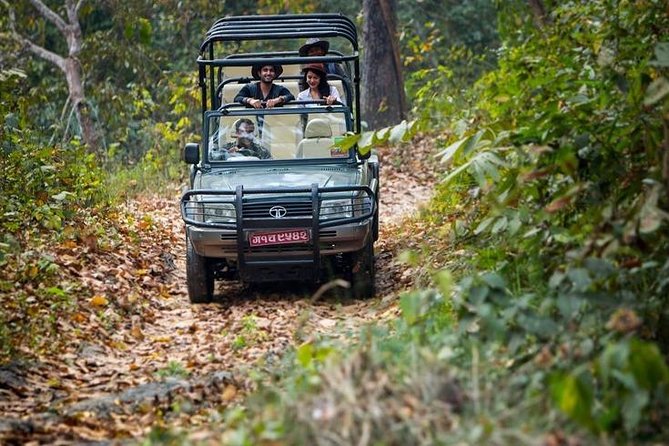 5 night / 6 days Kathmandu Nagarkot Chitwan Pokhara tour - Price and Value: What’s Included vs. What You Still Need to Budget