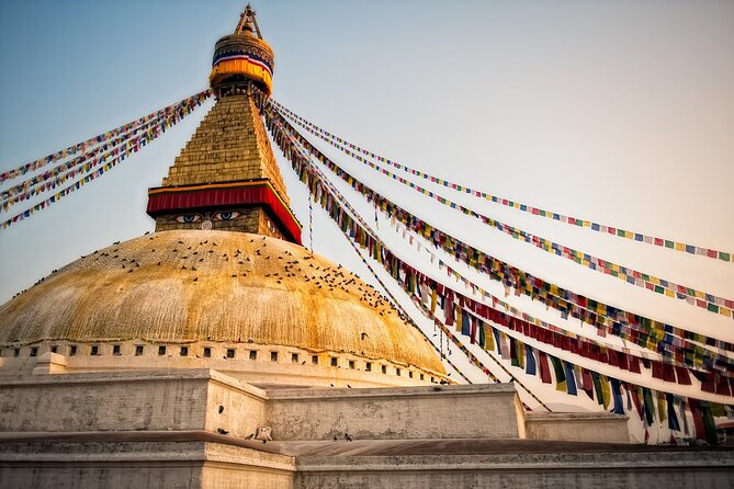 5 Nights 6 Days Kathmandu and Chitwan Safari Tour Package of Nepal - Day 4 Chitwan: Canoeing, Jungle Walking, and Jeep Safari