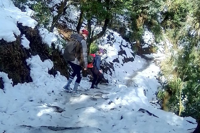 6 Days Poon Hill - Ghandruk Circuit Trek from Kathmandu - Key Things I’d Prioritize on This Poon Hill–Ghandruk Trek