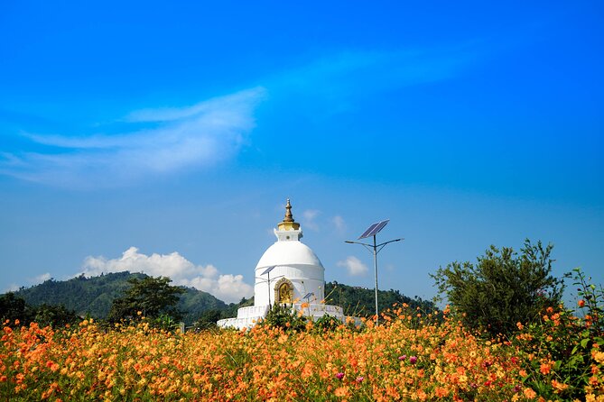6 Days Private Himalayan Dreams of Nepal - UNESCO Kathmandu Valley Day: Boudhanath, Bhaktapur Durbar Square, and Patan