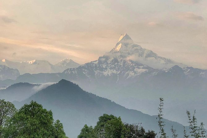 7-Day Kathmandu, Pokhara Tour with Hike to Australian Camp - Back to Kathmandu for Thamel Strolls and a Farewell Dinner