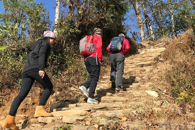 7-Day Kathmandu, Pokhara Tour with Hike to Australian Camp - Price and Logistics: Is $791.67 Good Value?
