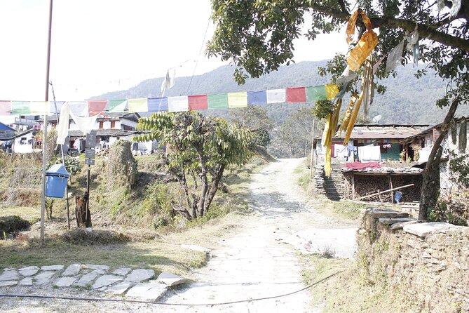 7 Days Langtang Valley Trek from Kathmandu - Day 2: Lama Hotel day, forests and suspension bridges