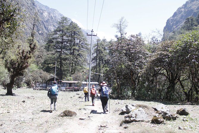 7 Days Langtang Valley Trek from Kathmandu - Day 4: Kyanjin Gompa day, yak country and that famous monastery payoff