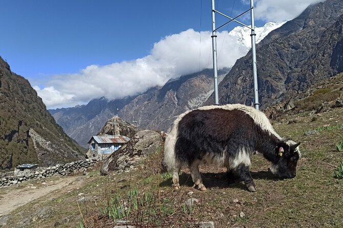 7 Days Langtang Valley Trek from Kathmandu - Day 1: from Kathmandu to Shyfru Bensi, with a long scenic warm-up