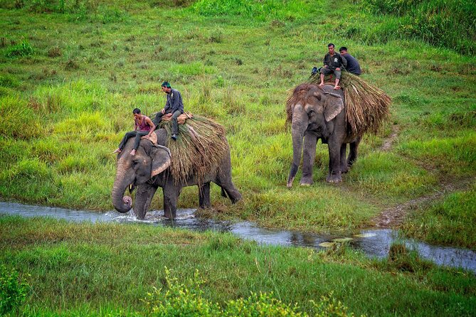 7 Days Nepal Adventure Tour - Price and Logistics: Does $650 Feel Fair for This Week?