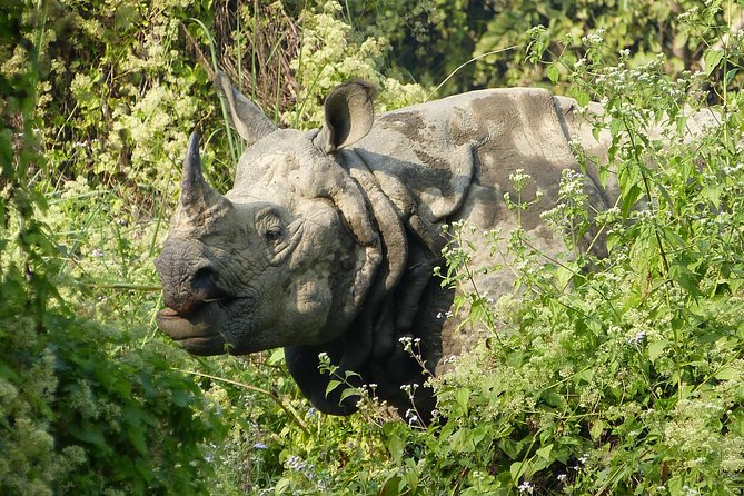 8 Days Luxury Nepal Tour - Pokhara: Barahi Temple, Devi’s Fall, and the cave