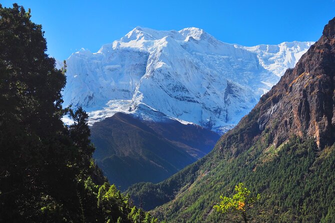 8 Days Private Guided Trekking in Annapurna Circuit with Pickup - Thorong High Camp (4450m) and the Real Meaning of the Pass Prep