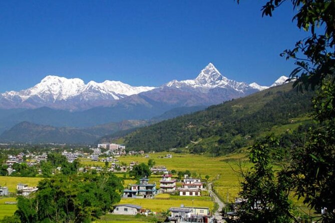 8 Days Short Trek and Tour in Nepal - For Career Breakers and Solo Travelers: Who This Private Plan Fits Best