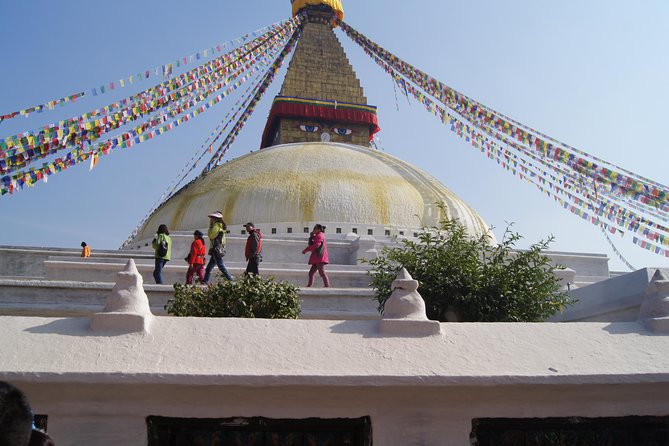 8 Days Special Nepal Tour Package - Chitwan Day 4: Canyoning, Jungle Walking, and a Jeep Safari Combo