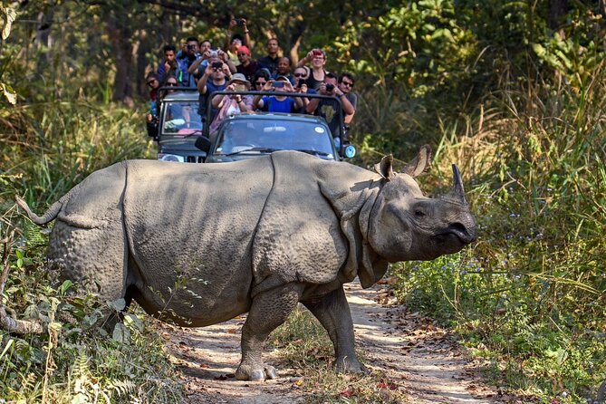 8 Days Tour in Nepal (4 Star Accommodation) - The road days: Dhading, Gorkha, and the jump to Chitwan