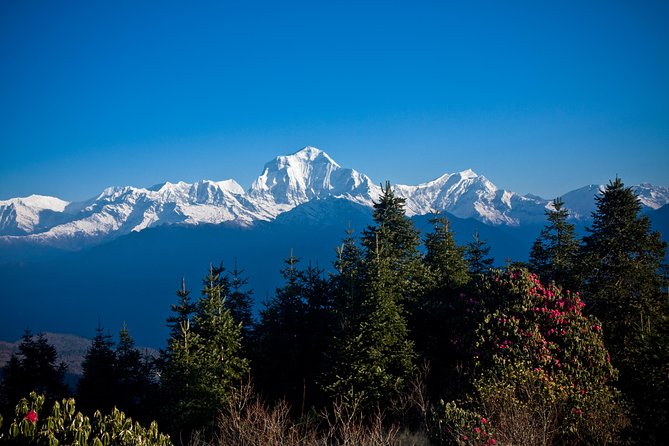 9 Days short and Easy Ghorepani Poonhill Trekking in Nepal - Ghorepani Poon Hill: a short Annapurna trek built around sunrise