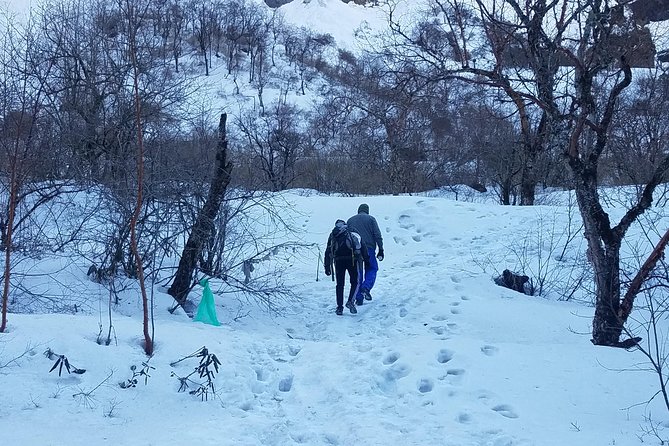 Adventurous Annapurna Base Camp Trekking - Ghorepani ridgeline: rhododendron forests and Dhaulagiri/Annapurna range views
