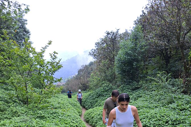 Amazing 1 Day Trekking Experience in Kathmandu Nepal - Champadevi Temple: A Short Break With Big Scenic Payoff