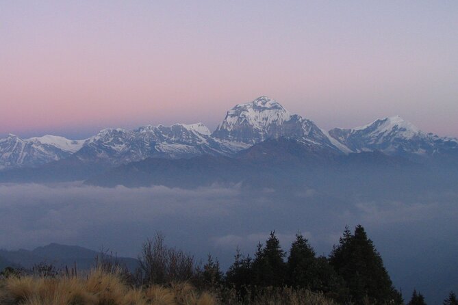 An 8- day itinerary for Ghorepani Pun Hill trek for Sunrise & Himalaya view Tour - Kathmandu to Pokhara: Let Someone Else Own the Long Transfer