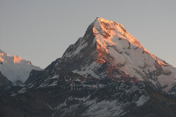 An 8- day itinerary for Ghorepani Pun Hill trek for Sunrise & Himalaya view Tour - Price and Logistics: Is $884.97 Good Value Here?