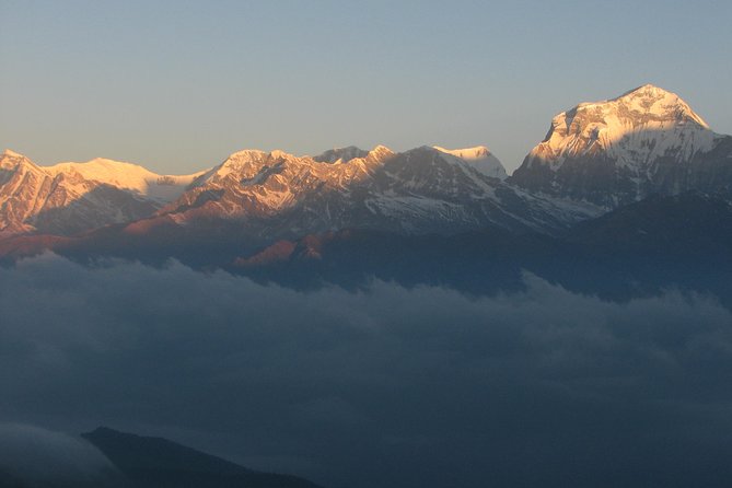 An 8- day itinerary for Ghorepani Pun Hill trek for Sunrise & Himalaya view Tour - Day-by-Day Walking: What You’ll Feel on Each Stretch