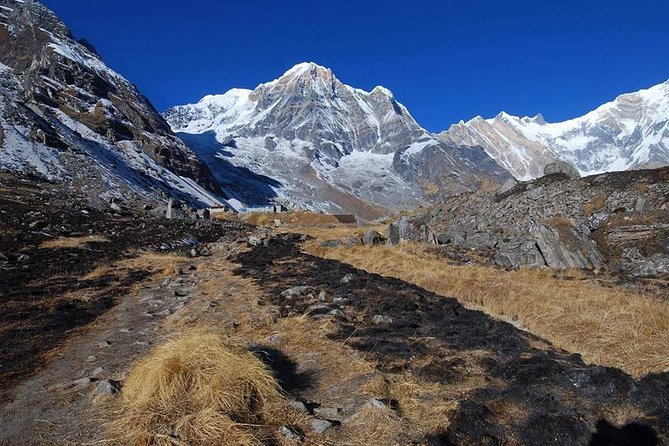 Annapurna Base Camp, Nepal 10 days - Day 4: Chhomrong descent via 2,500 stone steps to a suspension bridge