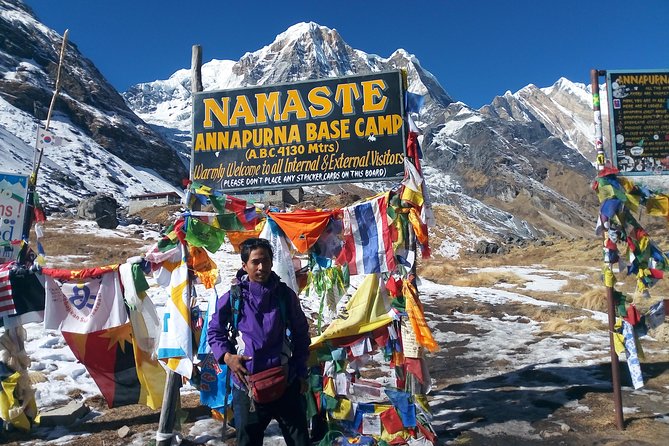 Annapurna Base Camp Trek - 10 Days - Chhomrong day: rhododendron trails and the long rhythm