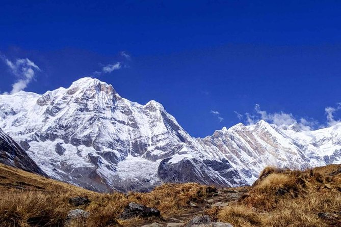 Annapurna Base Camp Trek- 11 Days - Guides, Porters, and Safety: The Human System Behind the Trek
