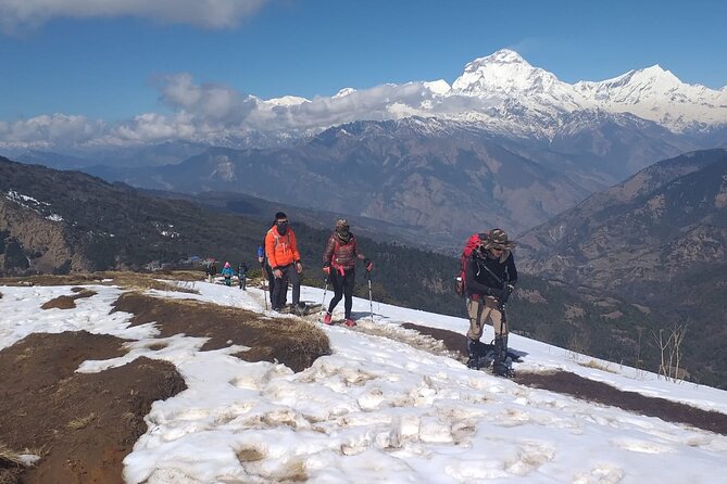 Annapurna Base Camp Trek 12 Days - The Big Pitch: Annapurna Base Camp in 12 Days