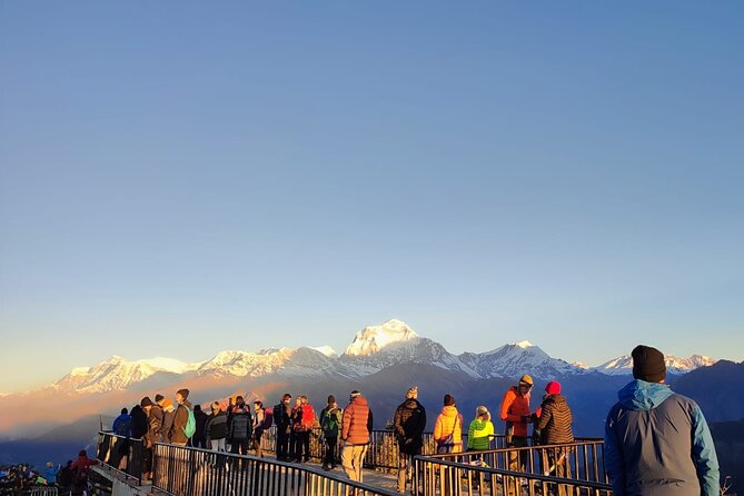 Annapurna Base Camp Trek 12 Days - Chhomrong, Sinuwa, and Deurali: The Middle Days That Make Base Camp Worth It
