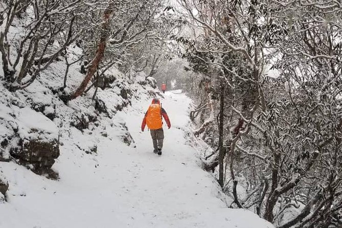 Annapurna base camp trek 5 Days - Guide fit and professionalism: what to look for during the first day