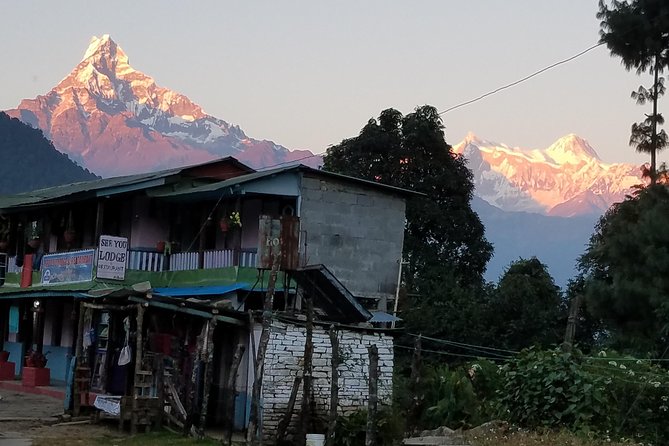 Annapurna Base Camp Trekking - 14 Days - The descent via Bamboo and Jhinu Danda: tired legs, better sleep