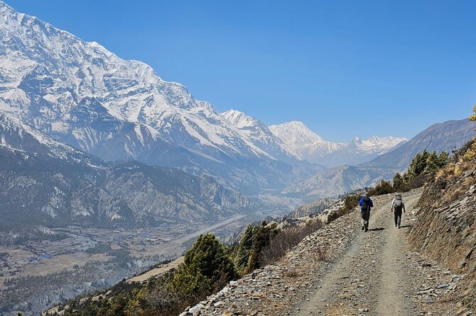 Annapurna Circuit Trek with Tilicho Lake (16 Days) - Days 10–12: Thorong La Pass and the long day into Muktinath