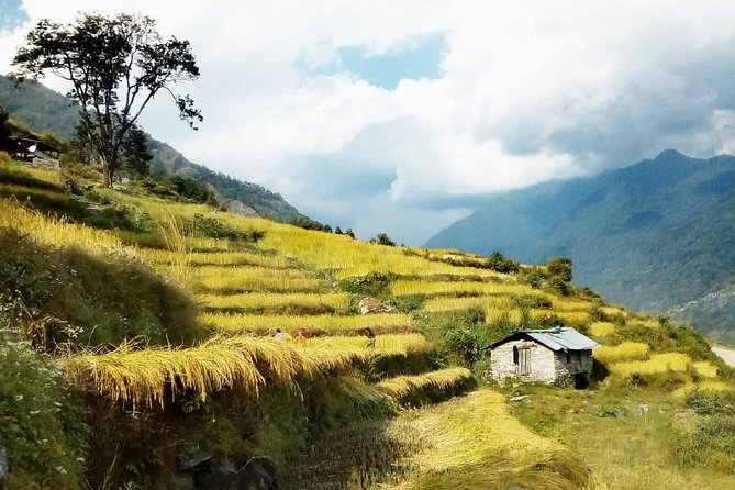 Annapurna Circuit Trekking -17 Days - Guides and porters: comfort with real responsibility