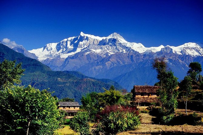 Annapurna Ghorepani Poon Hill trek from Pokhara short and easy hike in Himalaya - Key highlights you should know before you go